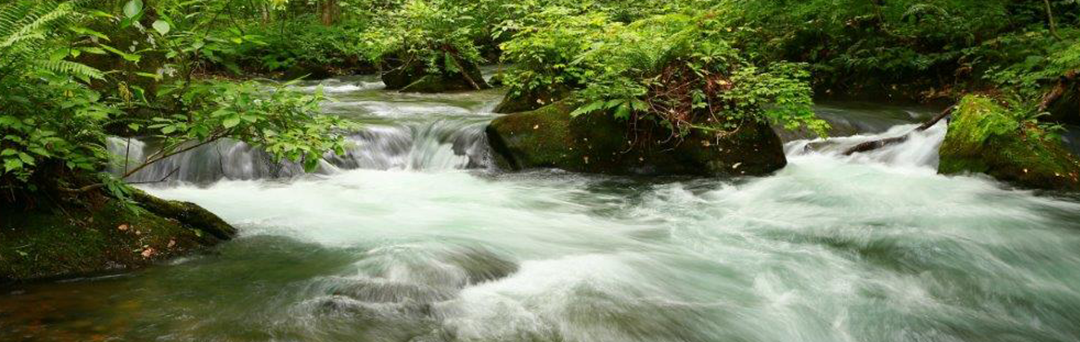 世界自然遺産 白神山地の水