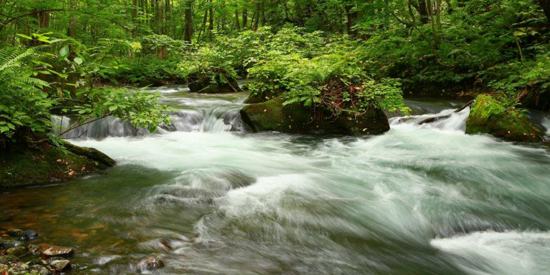 肌への浸透力を高める、世界自然遺産白神山地の水を100％使用